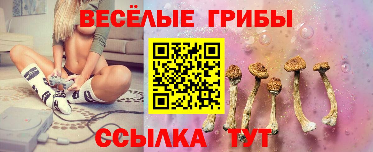 Псилоцибиновые грибы мицелий  закладки  Псилоцибиновые грибы мицелий  Кызыл  Вход с VPN 