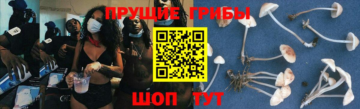 Галлюциногенные грибы GOLDEN TEACHER Кызыл