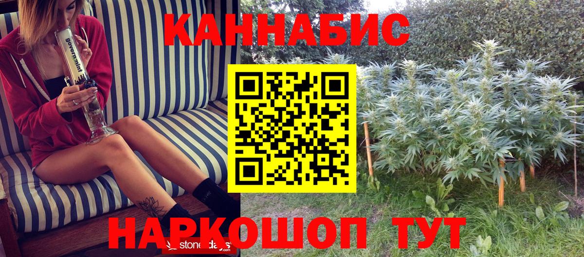 МАРИХУАНА планчик  Вход с VPN  Бошки марихуана планчик  МАРИХУАНА Bruce Banner  Кызыл  Конопля OG Kush 